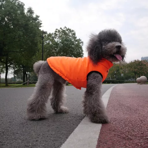 Lovelonglong Vízálló Téli Kutyamellény Fleece Béléssel Narancssárga 2XL