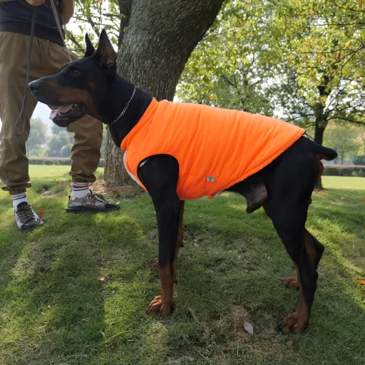 Lovelonglong Vízálló Téli Kutyamellény Fleece Béléssel Narancssárga 2XL