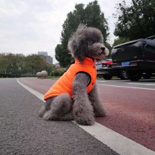 Lovelonglong Vízálló Téli Kutyamellény Fleece Béléssel Narancssárga 2XL