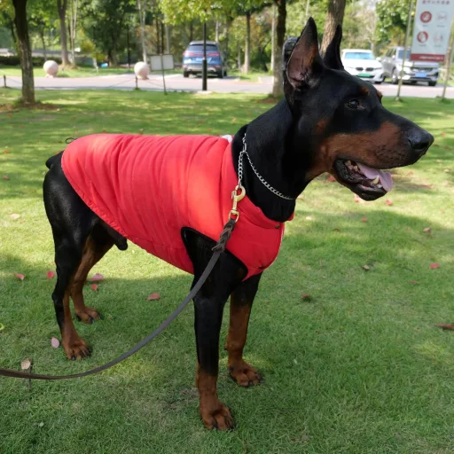 Lovelonglong Vízálló Téli Kutyamellény Fleece Béléssel Piros 3XL