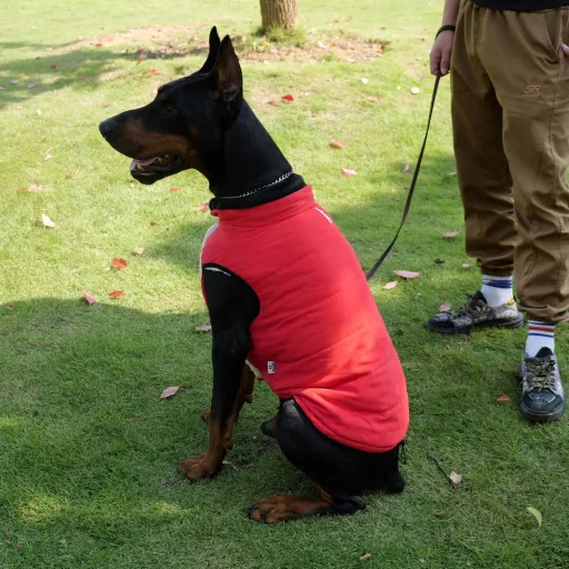 Lovelonglong Vízálló Téli Kutyamellény Fleece Béléssel Piros 3XL