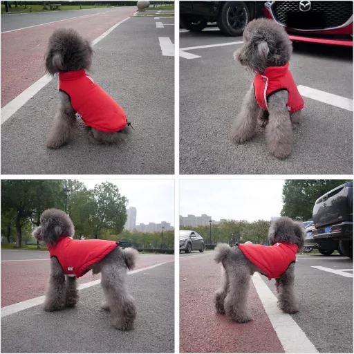 Lovelonglong Vízálló Téli Kutyamellény Fleece Béléssel Piros 2XL
