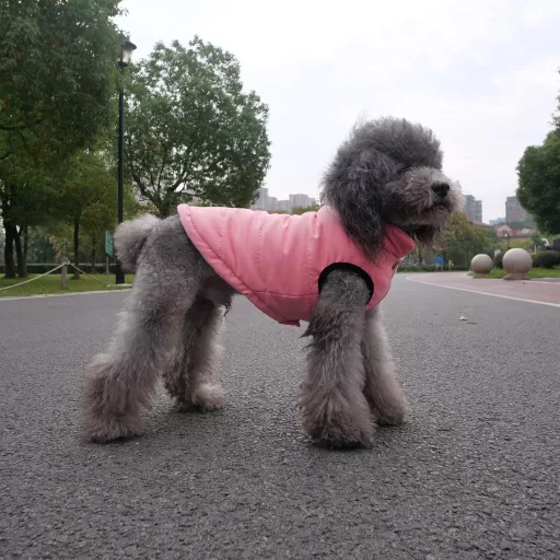 Lovelonglong Vízálló Téli Kutyamellény Fleece Béléssel Gomb Nélkül Pink XL