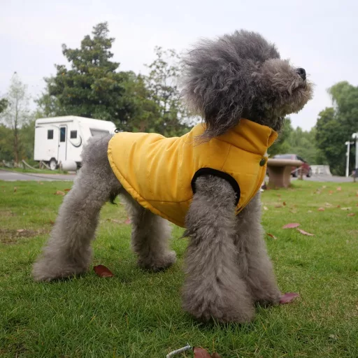 Lovelonglong Vízálló Téli Kutyamellény Fleece Béléssel Sárga 2XL