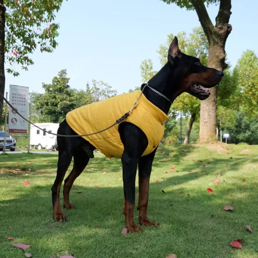 Lovelonglong Vízálló Téli Kutyamellény Fleece Béléssel Sárga 2XL