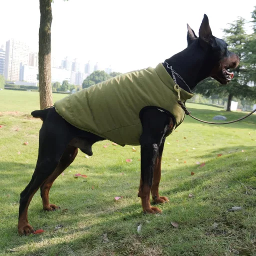 Lovelonglong Vízálló Téli Kutyakabát Fleece Béléssel Army Zöld L