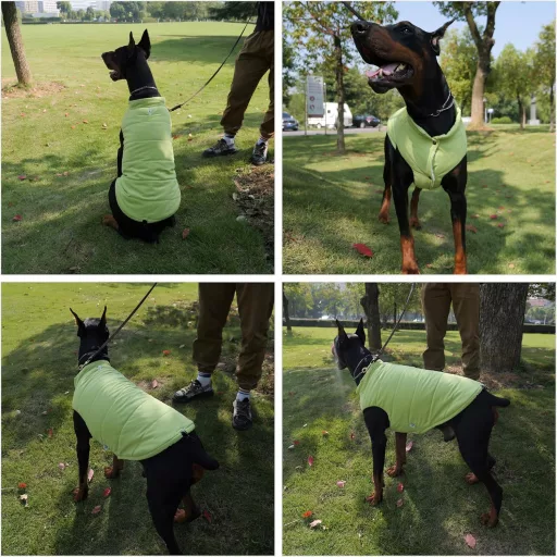 Lovelonglong Vízálló Téli Kutyamellény Fleece Béléssel Zöld 2XL