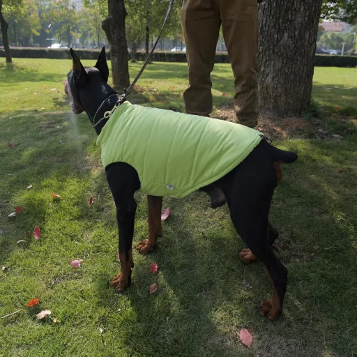 Lovelonglong Vízálló Téli Kutyamellény Fleece Béléssel Zöld 2XL