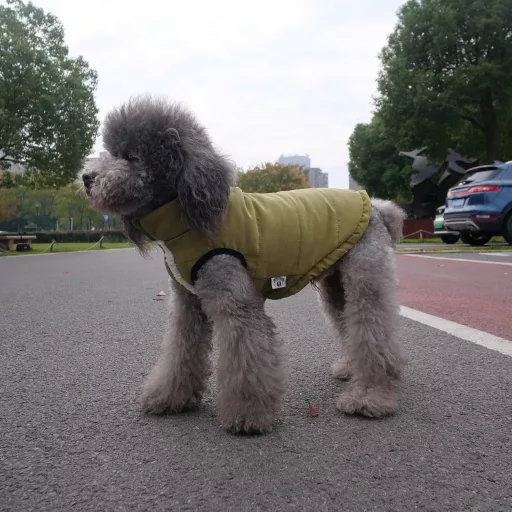 Lovelonglong Vízálló Téli Kutyamellény Fleece Béléssel ArmyGreen XL