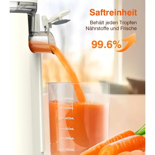 Zasmira Lassú Gyümölcscentrifuga 120mm Nyílással, 99,6% Gyümölcslé Tisztaság