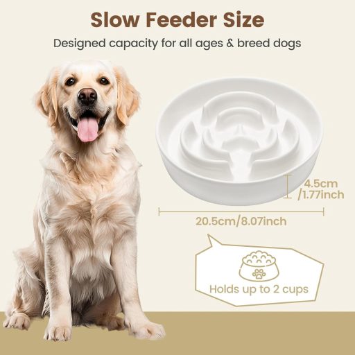 PETTOM Csúszásmentes Kerámia Kutyatál 21cm, Lassú Evés Tál Nagyobb Kutyáknak