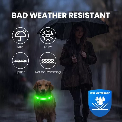 Feycig USB-s LED kutya nyakörv vízálló fényvisszaverő 3 üzemmód