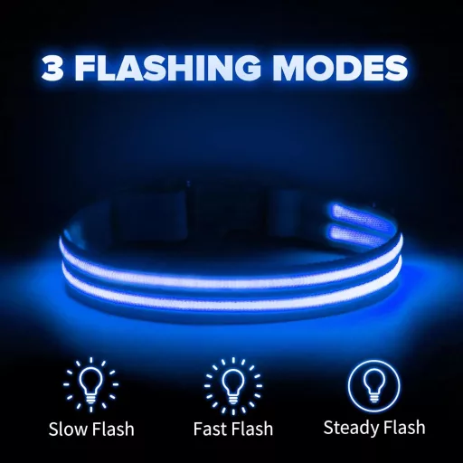 Feycig USB-s LED kutya nyakörv világító vízálló állítható S-L méret 3 mód