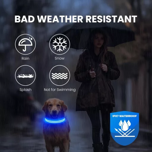 Feycig USB-s LED kutya nyakörv világító vízálló állítható S-L méret 3 mód