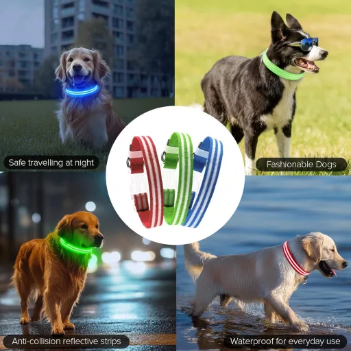 Feycig USB-s LED kutya nyakörv világító vízálló állítható S-L méret 3 mód