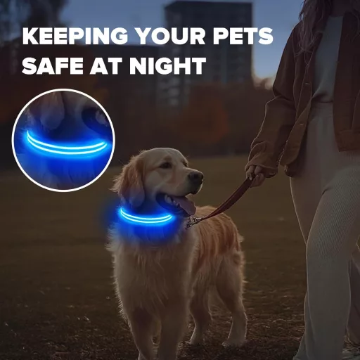 Feycig USB-s LED kutya nyakörv világító vízálló állítható S-L méret 3 mód