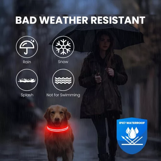 Feycig USB-s LED kutya nyakörv vízálló fényvisszaverő állítható S-L méret 3 mód