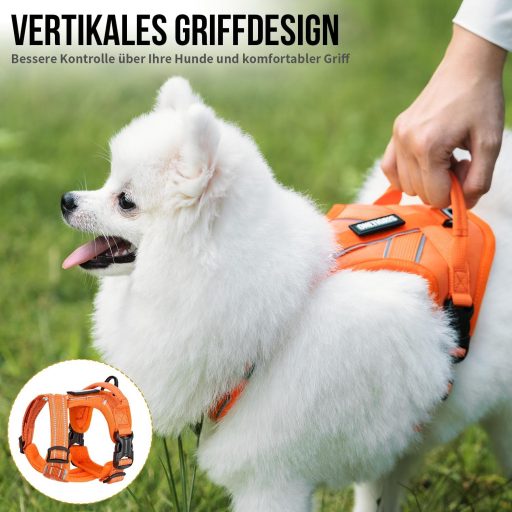 OneTigris ANTZ Taktikai Kutyahám Szett XXS Méretben, Fényvisszaverő Pórázrendszer Fogantyúval, Kisméretű Kutyáknak, Narancs

AI: I've create