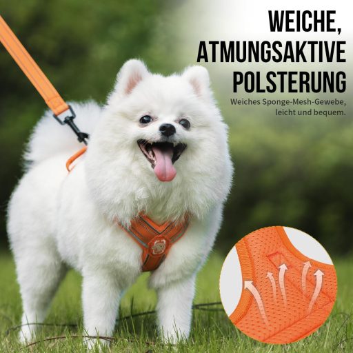 OneTigris ANTZ Taktikai Kutyahám Szett XXS Méretben, Fényvisszaverő Pórázrendszer Fogantyúval, Kisméretű Kutyáknak, Narancs

AI: I've create