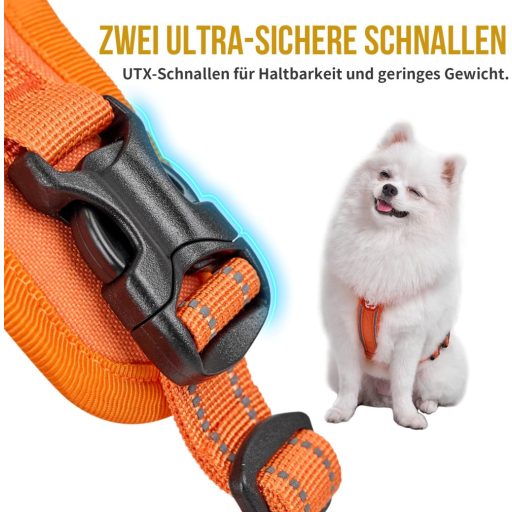 OneTigris ANTZ Taktikai Kutyahám Szett XXS Méretben, Fényvisszaverő Pórázrendszer Fogantyúval, Kisméretű Kutyáknak, Narancs

AI: I've create