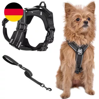   Onetigris Geschirr Set Für Kleine Hunde, ANTZ Tactical Geschirre Und Leine Mit L 313047545589 | eBay.de