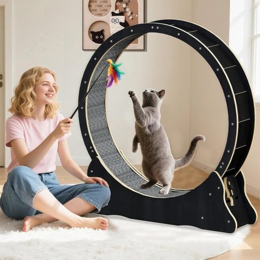 WUDLEP Macska Futókerék 100 cm Szőnyeges Futópályával, Nagy Macska Kerék Edzéshez Fogyáshoz, Fekete Macska Futógép