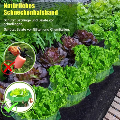 Set de 10 guler protecție melci din plastic Sunshine smile - Inel protector eficient anti-melci pentru plante de grădină, cu funcție de reținere a apei, rezistent la intemperii.