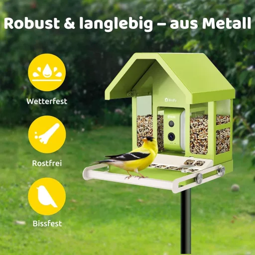 Birdfy hranilica za ptice s kamerom, 1080P noćni vid, solarno napajanje, obavijesti u stvarnom vremenu