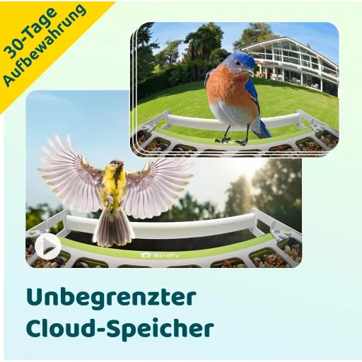 Birdfy hranilica za ptice s kamerom, 1080P noćni vid, solarno napajanje, obavijesti u stvarnom vremenu