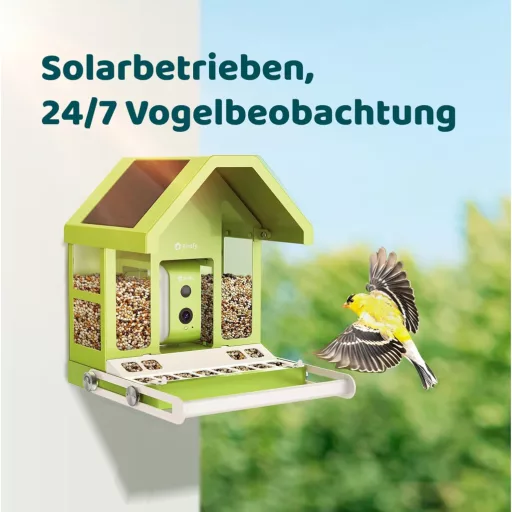 Birdfy hranilica za ptice s kamerom, 1080P noćni vid, solarno napajanje, obavijesti u stvarnom vremenu