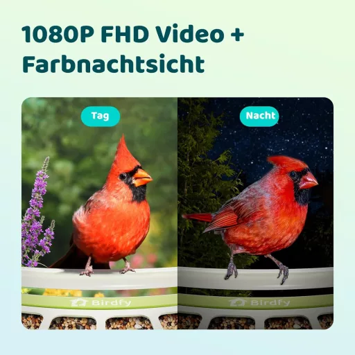 Hrănitor pentru păsări cu cameră Birdfy, 1080P vedere nocturnă, solar, notificări în timp real