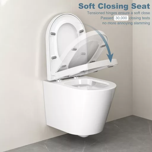 Litake WC ülőke soft-close mechanizmussal, gyorsleoldás, D-alakú fehér