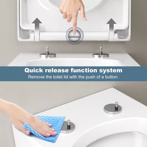 Litake WC ülőke soft-close mechanizmussal, gyorsleoldás, D-alakú fehér
