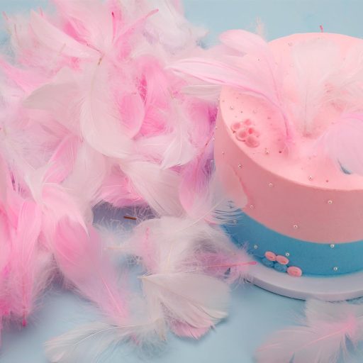 ENLACE set ukrasnih pera za rukotvorine, 200 komada, bijelo-ružičasta