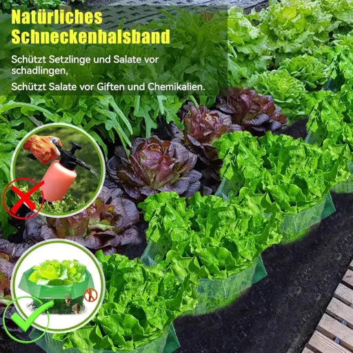 Sooping Set de 20 Bucăți Guler Antiraclu - Inele Protectoare din Plastic Anti-Melci pentru Plante, Protecție Fără Substanțe Chimice Împotriva Melcilor pentru Salate și Crucifere