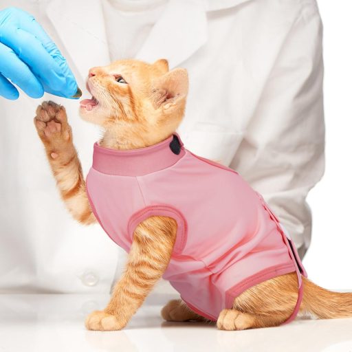 DENTRUN Pooperačný oblečok pre mačky, nastaviteľný, na hojenie rán po sterilizácii, XL, ružový