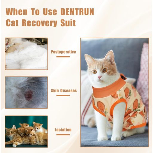 DENTRUN Macska Sebvédő Ruha Műtét Után, Nyalás Elleni Védelem, Könnyű Sterilizálás Ruha Narancs L