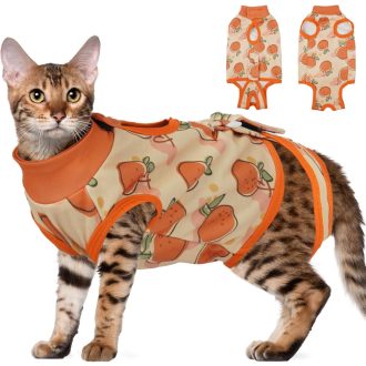   DENTRUN Mačka BRESKVA Odjeća Narančasta M - Zaštita od Ozljeda i Iritacija