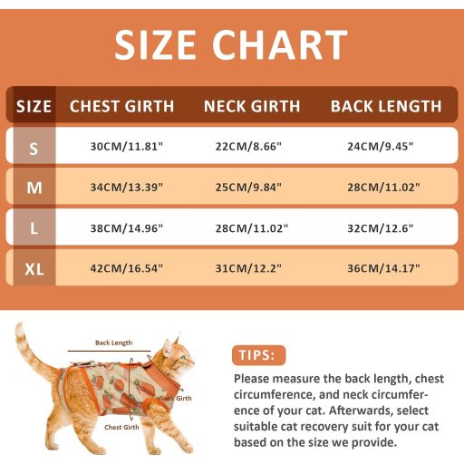 DENTRUN Mačka BRESKVA Odjeća Narančasta M - Zaštita od Ozljeda i Iritacija