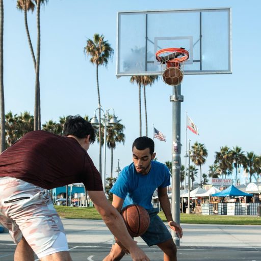 Toddmomy Hordozható Kosárlabda Kapu Láncos Hálóval és Tartóval