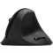 Mouse Vertical Ergonomic Fără Fir DELUX pentru Mâini Mici, 6 Butoane, 2400 DPI