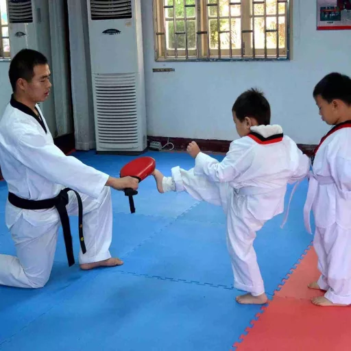 POENVFPO Kickboxing Ütéspad Taekwondo Edzéshez Profi Szintű