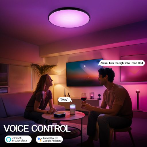 Eregou LED Mennyezeti Lámpa 24W WiFi RGB Dimmer Alexa Google Home Fürdőszoba Hálószoba