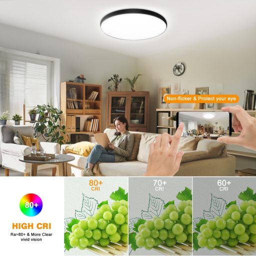Eregou LED Mennyezeti Lámpa 24W WiFi RGB Dimmer Alexa Google Home Fürdőszoba Hálószoba