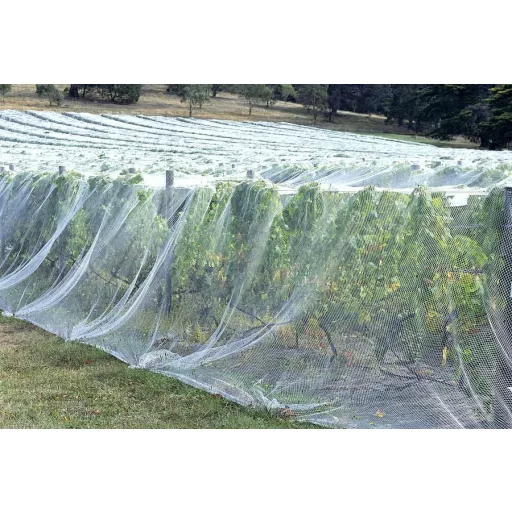 OAK Plasă de protecție pentru pisici, pentru balcon și fereastră, 15x15m - Plasă de siguranță galbenă, fără găurire, nailon rezistent, plasă de protecție împotriva păsărilor, plasă pentru iaz de grădină