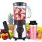 Moulinex Blend & Go 300W turmixgép 1,3L rozsdamentes acél + 750ml palack