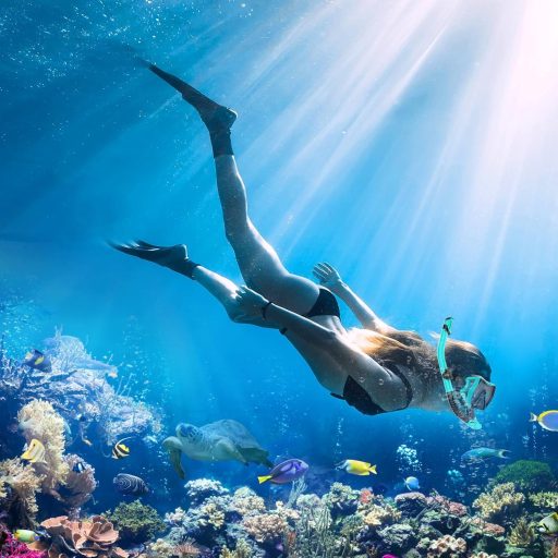 Potápačská súprava LITTLEJSY pre dospelých - potápačské okuliare z tvrdeného skla proti zahmlievaniu a suchý šnorchel - profesionálna potápačská maska na plávanie, šnorchlovanie