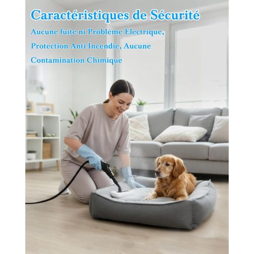 mecmic Hordozható Gőztisztító 2500W 120°C Gyors Felmelegítés 1.6L Tartály